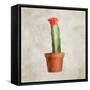 Potted Life 1-Kimberly Allen-Framed Stretched Canvas