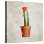 Potted Life 1-Kimberly Allen-Stretched Canvas