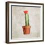 Potted Life 1-Kimberly Allen-Framed Art Print