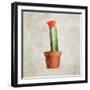 Potted Life 1-Kimberly Allen-Framed Art Print