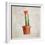 Potted Life 1-Kimberly Allen-Framed Art Print