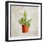 Potted Life 2-Kimberly Allen-Framed Art Print