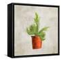 Potted Life 2-Kimberly Allen-Framed Stretched Canvas