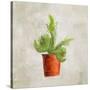 Potted Life 2-Kimberly Allen-Stretched Canvas