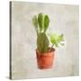 Potted Life 3-Kimberly Allen-Stretched Canvas