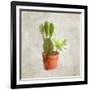 Potted Life 3-Kimberly Allen-Framed Art Print