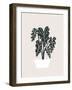 Potted Monsterra Plant 5-null-Framed Art Print