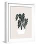 Potted Monsterra Plant 5-null-Framed Art Print