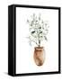 Potted Olive Tree-Katrina Pete-Framed Stretched Canvas