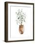 Potted Olive Tree-Katrina Pete-Framed Art Print