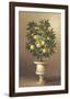 Potted Orange Tree-Welby-Framed Art Print