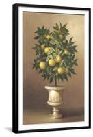 Potted Orange Tree-Welby-Framed Art Print