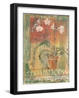 Potted Orchid Study II-unknown Foy-Framed Art Print