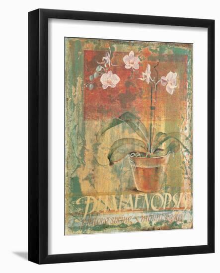 Potted Orchid Study II-unknown Foy-Framed Art Print