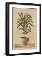 Potted Palm I-Welby-Framed Art Print