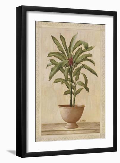 Potted Palm I-Welby-Framed Art Print