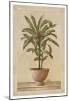 Potted Palm I-Welby-Mounted Art Print