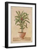 Potted Palm I-Welby-Framed Art Print