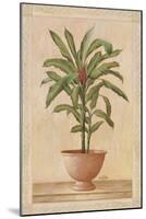 Potted Palm I-Welby-Mounted Art Print