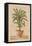 Potted Palm I-Welby-Framed Stretched Canvas