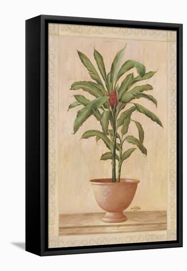 Potted Palm I-Welby-Framed Stretched Canvas