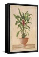 Potted Palm II-Welby-Framed Stretched Canvas