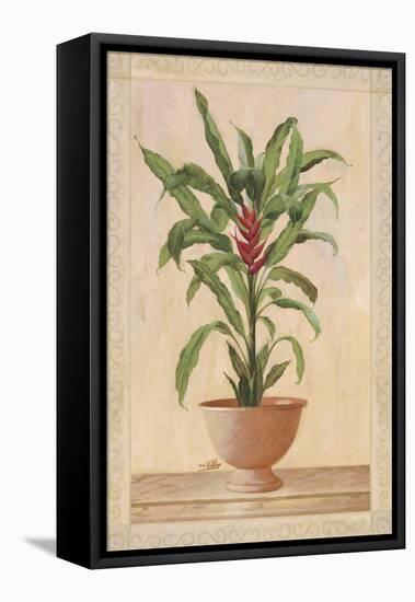 Potted Palm II-Welby-Framed Stretched Canvas