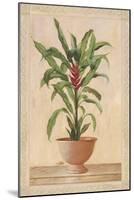 Potted Palm II-Welby-Mounted Art Print