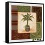 Potted Palm II-Pamela Desgrosellier-Framed Stretched Canvas