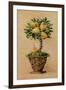 Potted Pears-Barbara Mock-Framed Giclee Print