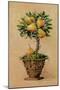 Potted Pears-Barbara Mock-Mounted Giclee Print