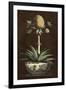 Potted Pineapple I-Vision Studio-Framed Art Print