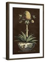 Potted Pineapple I-Vision Studio-Framed Art Print