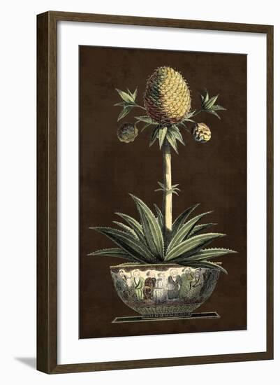 Potted Pineapple I-Vision Studio-Framed Art Print