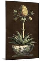 Potted Pineapple I-Vision Studio-Mounted Art Print