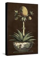Potted Pineapple I-Vision Studio-Stretched Canvas