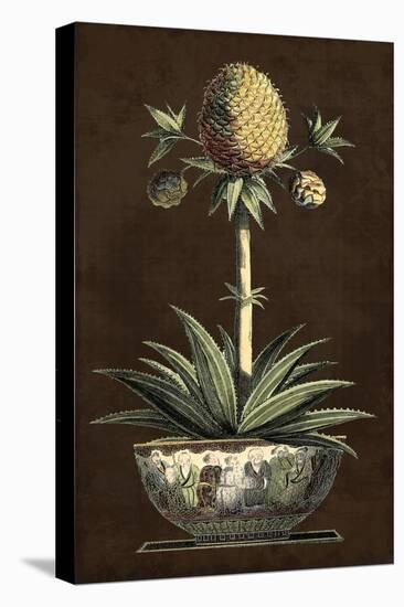 Potted Pineapple I-Vision Studio-Stretched Canvas