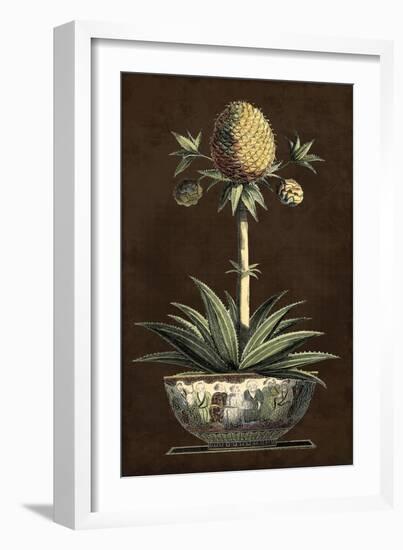 Potted Pineapple I-Vision Studio-Framed Art Print