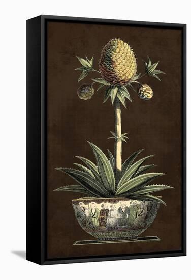 Potted Pineapple I-Vision Studio-Framed Stretched Canvas