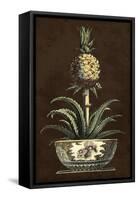 Potted Pineapple II-Vision Studio-Framed Stretched Canvas