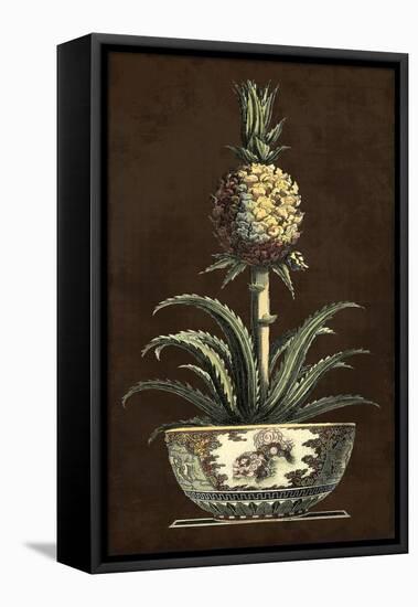 Potted Pineapple II-Vision Studio-Framed Stretched Canvas