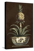 Potted Pineapple II-Vision Studio-Stretched Canvas