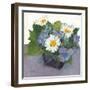 Potted Plant II-Samuel Dixon-Framed Art Print