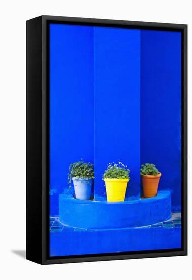 Potted Plants and Bright Blue Paintwork-Matthew Williams-Ellis-Framed Stretched Canvas