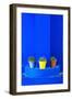 Potted Plants and Bright Blue Paintwork-Matthew Williams-Ellis-Framed Photographic Print