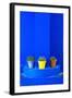 Potted Plants and Bright Blue Paintwork-Matthew Williams-Ellis-Framed Photographic Print