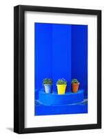 Potted Plants and Bright Blue Paintwork-Matthew Williams-Ellis-Framed Photographic Print