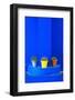 Potted Plants and Bright Blue Paintwork-Matthew Williams-Ellis-Framed Photographic Print