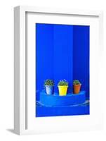 Potted Plants and Bright Blue Paintwork-Matthew Williams-Ellis-Framed Photographic Print