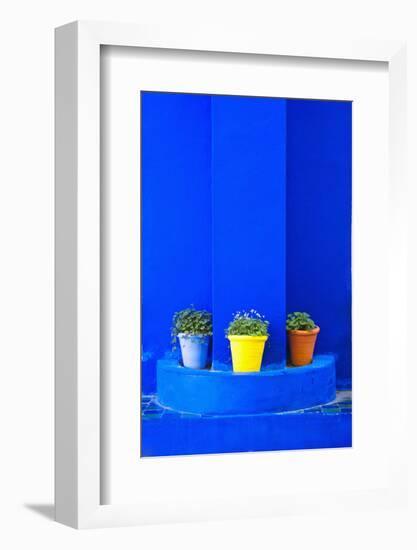 Potted Plants and Bright Blue Paintwork-Matthew Williams-Ellis-Framed Photographic Print